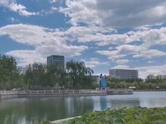 -莲花池公园
