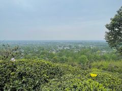 -泰山风景名胜区-普照寺
