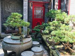 -老张烤羊(王哥庄店)