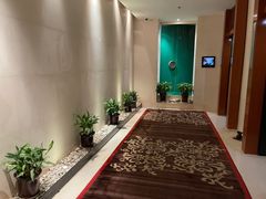 -丽思卡尔顿酒店泳池(金融街店)