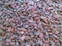 android_upload_pic-歌斐颂巧克力小镇