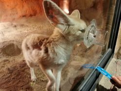 -酷嗒动物文化乐园(cutezoo西溪乐天城店)