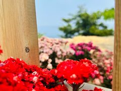 -山东大学(威海校区)