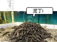 -蚝美人·生蚝海鲜烧烤(茶花园店)