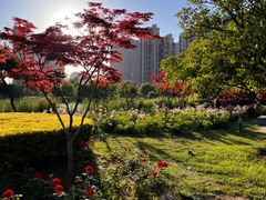 -木塔寺遗址生态公园