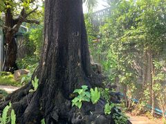 -Chom Cafe and Restaurant