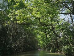 -上海滨江森林公园