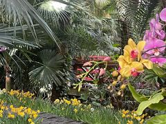 -石家庄市植物园