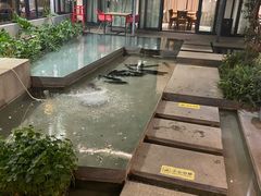 -大理老字号·舟渔的鱼野生菌海景餐厅(双廊店)