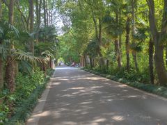 -同里国家湿地公园