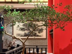 -龙悦湾酒家·八阵鱼生·渔人码头店