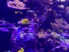 -香港海洋公园