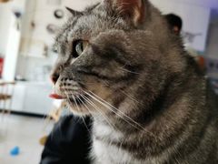 -平行世界·猫咖(首经贸店)
