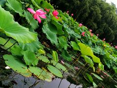 -南戴河国际娱乐中心