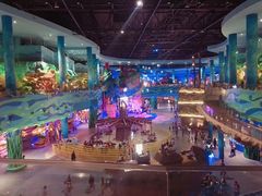 -青岛嘉年华主题乐园