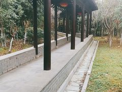 -八大山人梅湖景区
