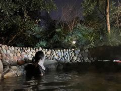 -洪湖悦兮半岛国际温泉度假村