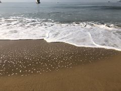 -海云台海滩