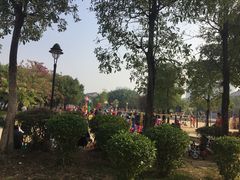 -飞来湖湿地公园