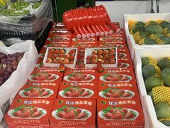 -宏发园动物奶油生日蛋糕(先锋路店)