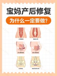 -安院长·产后恢复·徒手骨盆(先天下店)
