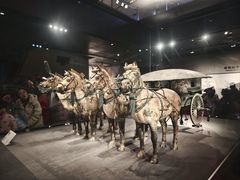 -秦始皇帝陵博物院-丽山园