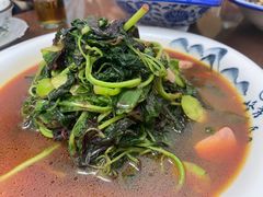 蚕豆红苋菜-华铝饭店