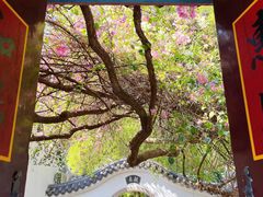 -深圳国际园林花卉博览园