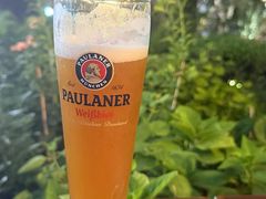 宝莱纳黄啤-宝莱纳餐厅(滨江店)