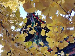 -承恩寺