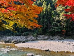 -岚山嵯峨野观光小火车