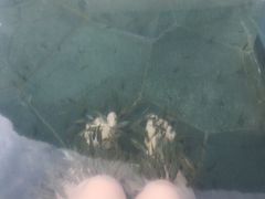 -苏州湾王焰温泉度假酒店