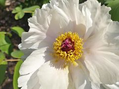 -江南大学(蠡湖校区)