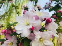 -元大都城垣遗址公园