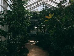 -国家植物园南园