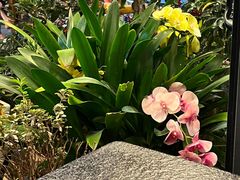 -海韵人家.海景花园经典云南菜(双廊店)
