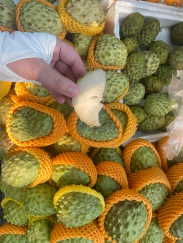 西双版纳水果篇