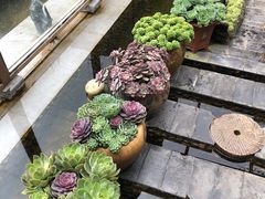 -炊烟餐厅