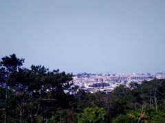 -仙岳公园