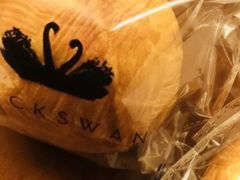 -BLACKSWAN黑天鹅(环球店)