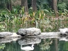 -四海公园(南山区)