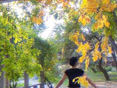 -国家植物园南园