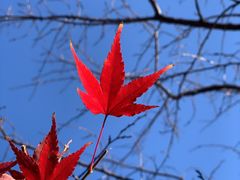 -周口店北京人遗址公园