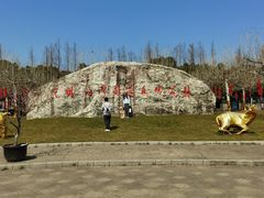 -上海海湾国家森林公园