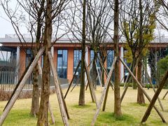 -铁山坪森林公园