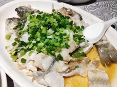 油淋鲈鱼-粤·向群饭店(龙津东路总店)