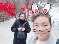 -洛阳白云山景区