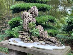 -南山植物园