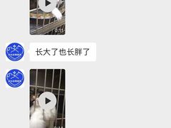 -初心动物医院