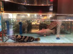 -阿伟海鲜楼·福建菜(延寿店)